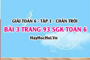 Giải bài 3 trang 93 Toán 6 Tập 1 SGK Chân trời sáng tạo